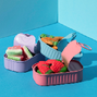 Water Bottles & Lunch Boxes